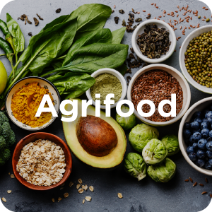Agrifood lab
