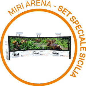 Arena set Sicilia